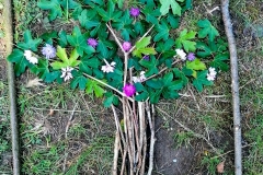 Frühling