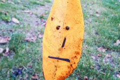Herbst
