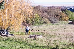 Herbst